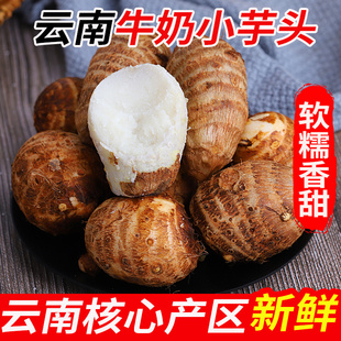云南牛奶小芋头新鲜农家粉糯毛芋头香芋艿芋圆净重9斤农家自种