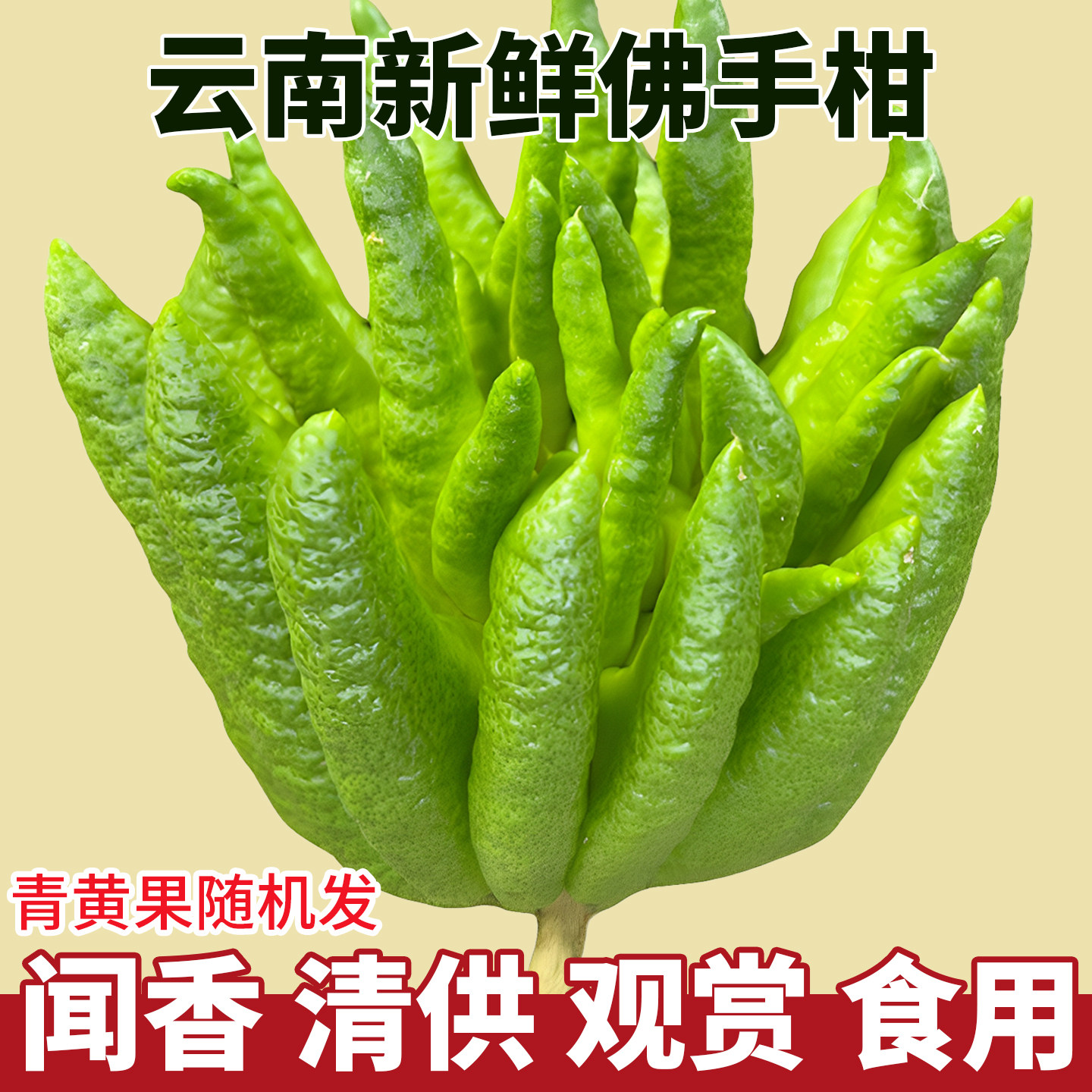 云南新鲜佛手柑大果鲜果观赏可食用闻云南培清供天然香薰清香香薰