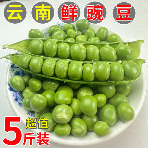 2025云南豌豆新鲜带壳青甜豆荚