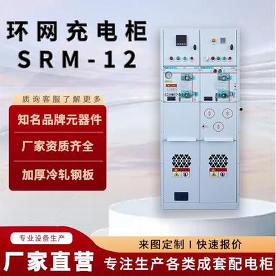 固体柜户外成高压开关柜成套配电箱充气柜并网柜进出线环网柜10KV