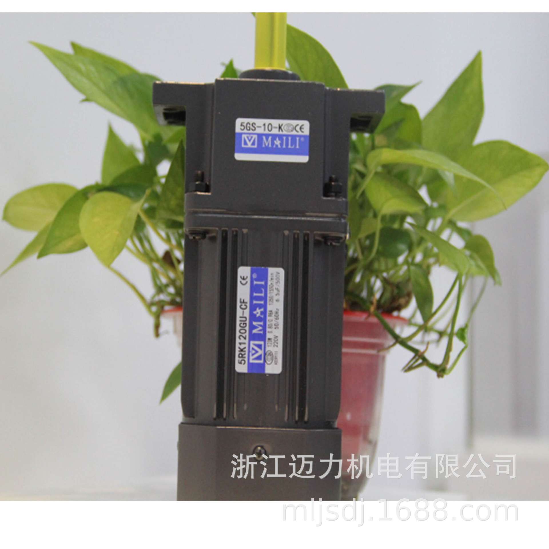 MAILI迈力120W齿轮电机带耳斜齿减速机5RK120GU-CF/5GS-10-K