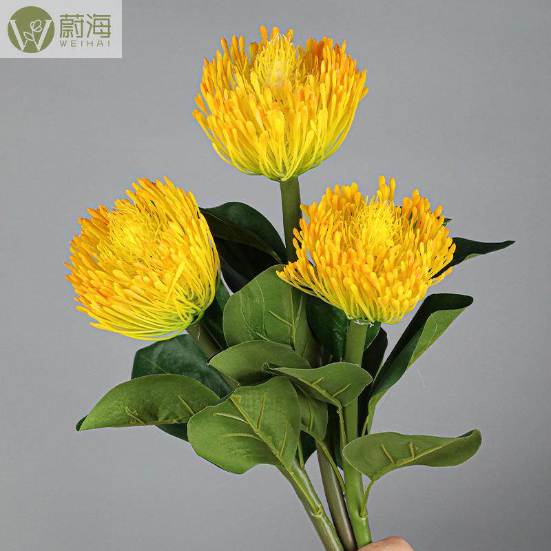 仿真霸王花摄影道具样板房摆件帝王花大号针叶花蟹爪菊家居客厅