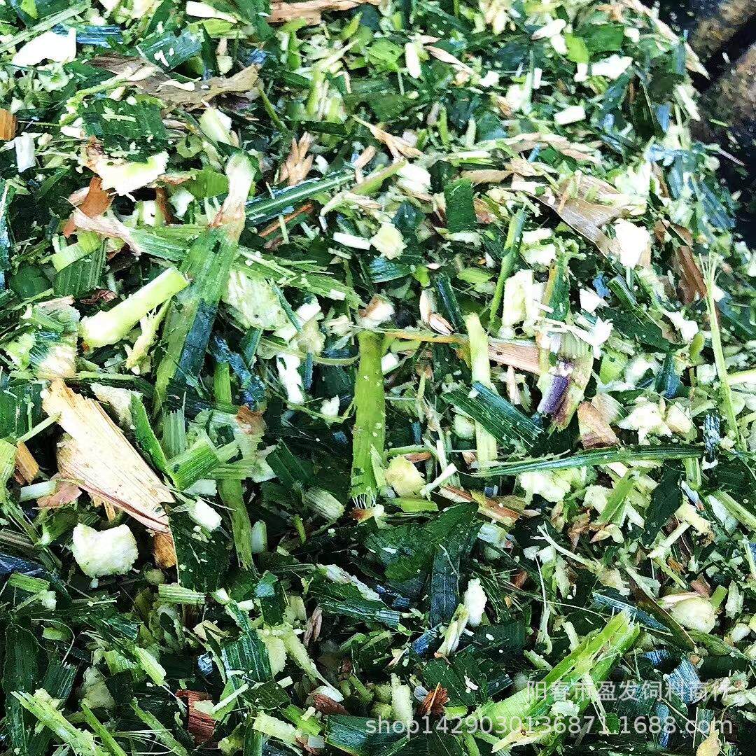 牛草料牛饲料青储草料玉米秸秆玉米杆广东牧草靑储饲料