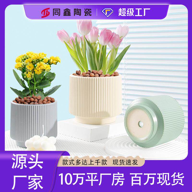 陶瓷花盆蝴蝶兰北欧风ins直筒竖纹花盆虎皮兰绿植盆栽桌面陶瓷盆