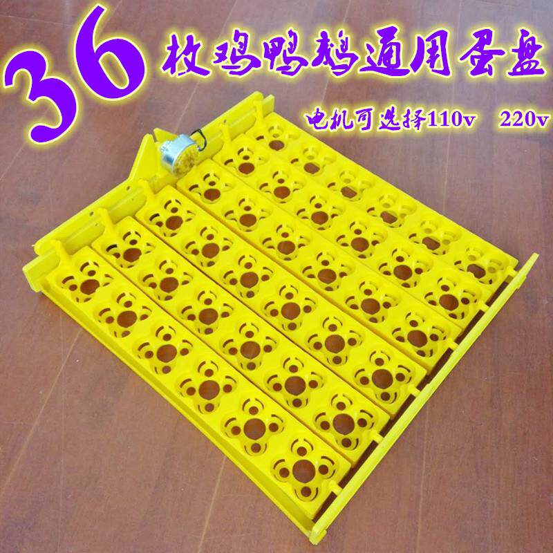 孵蛋器家用塑料蛋盘48枚翻蛋电机鸡鸭鹅迷你24枚蛋窝小型孵化机