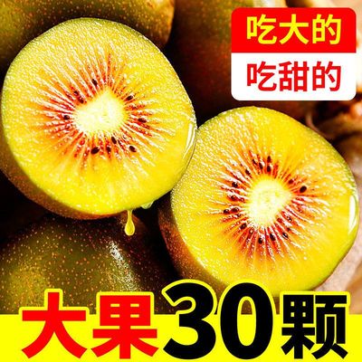 四川蒲江红心猕猴桃新鲜奇异果大果香甜水果狝猴桃当季时令弥猴桃