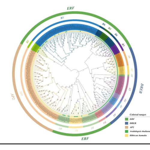 预后模型代谢基因免疫标志KEGGGO热图火山图单细胞