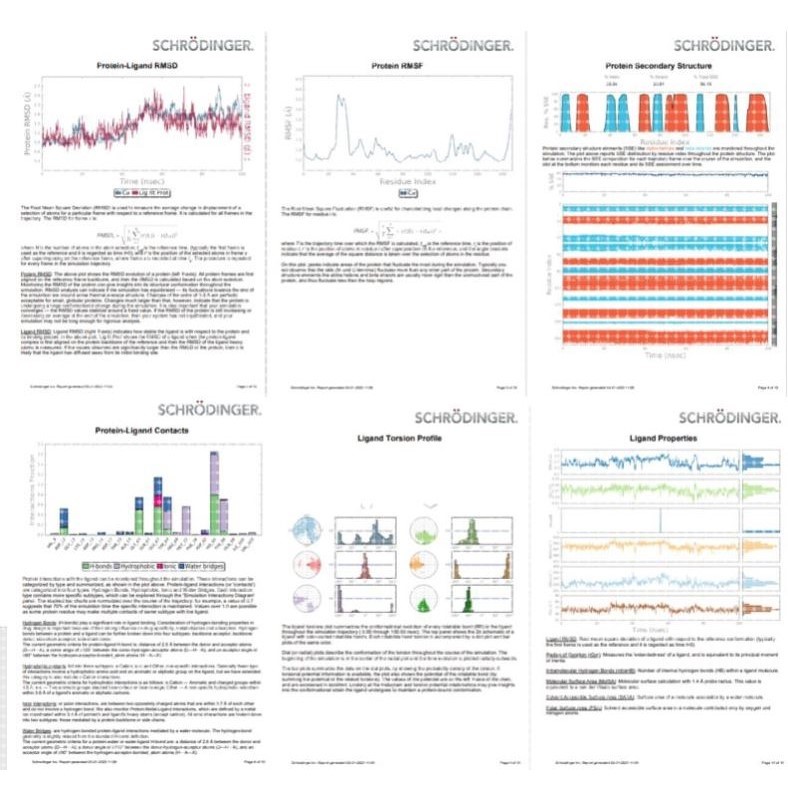 分子动力学模拟-薛定谔