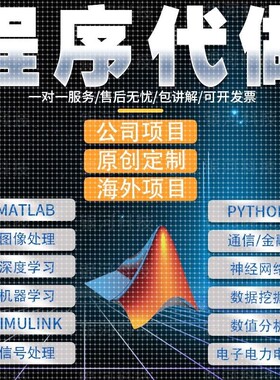 matlab代编程序代做帮做Python图像信号处理电气仿真通信编写代码
