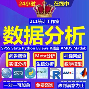 SPSS数据分析服务amos问卷调查eviews实证stata计量meta医学R代做