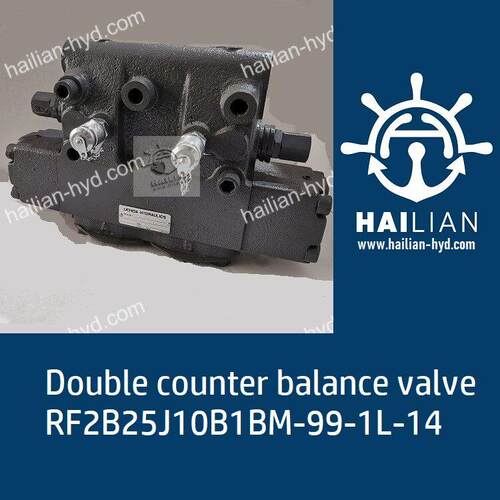 RF2B25J10B1BM-99-1L-14 Double counter balance valve 液压阀