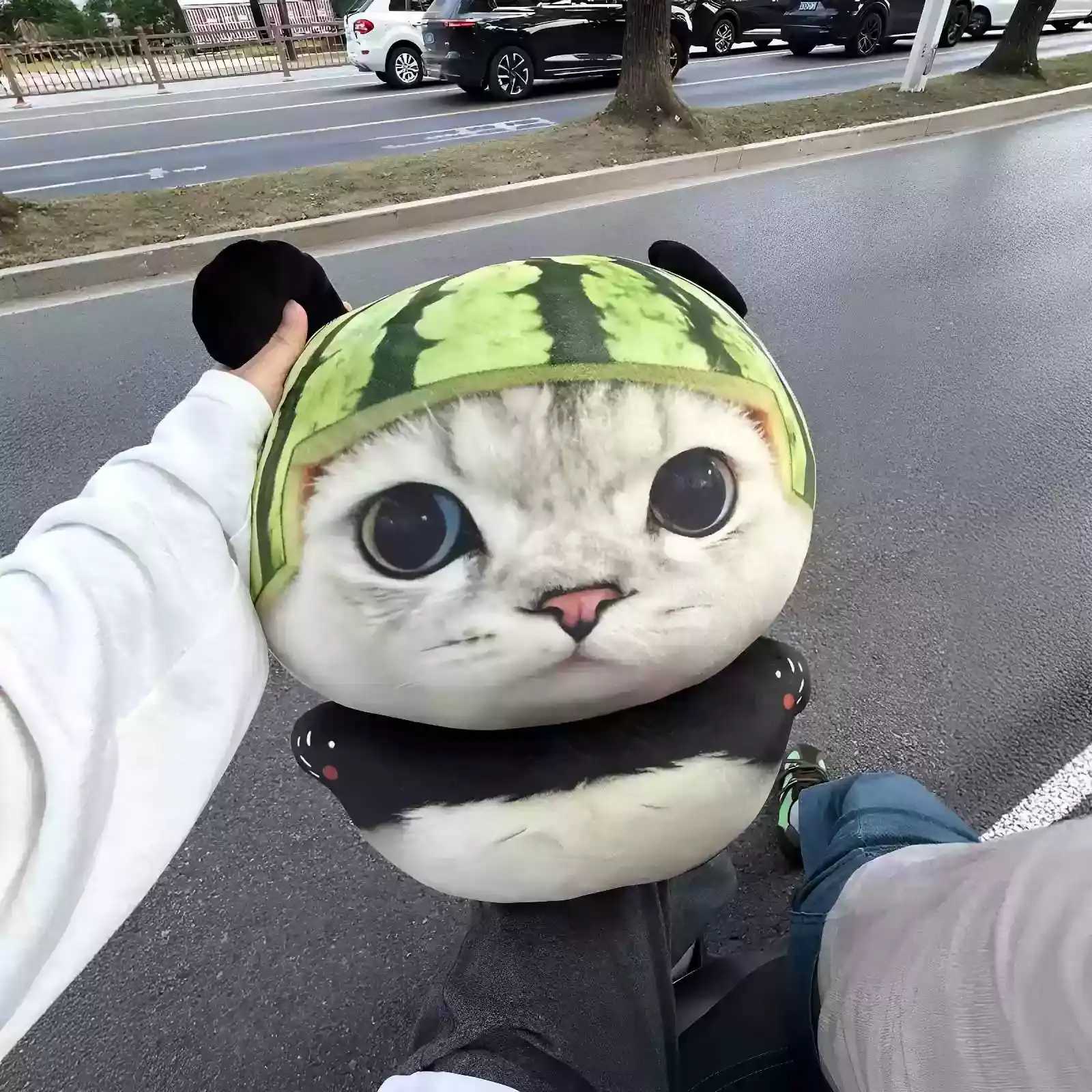 天下第一萌!熊喵喵玩偶抱枕毛绒