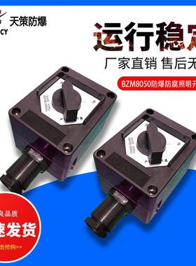 BZM8050防爆防腐照明开关防爆控制开关220V80v防爆照明开关