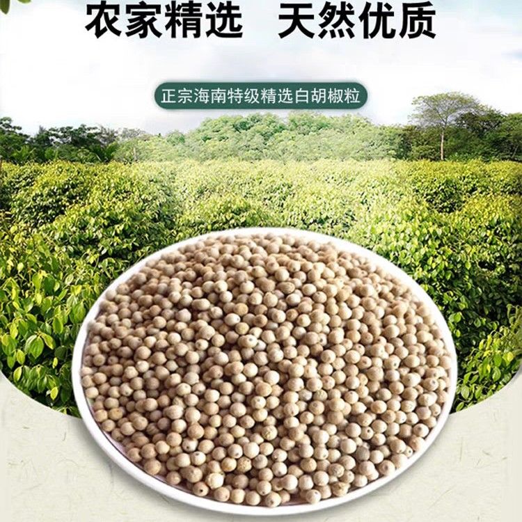 海南农家天然自产白胡椒颗粒送研磨器