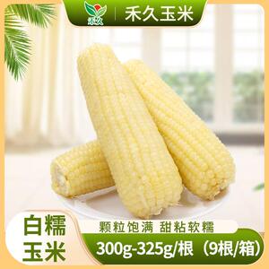 禾久 白糯玉米均重312克*9根/箱整箱2.808kg