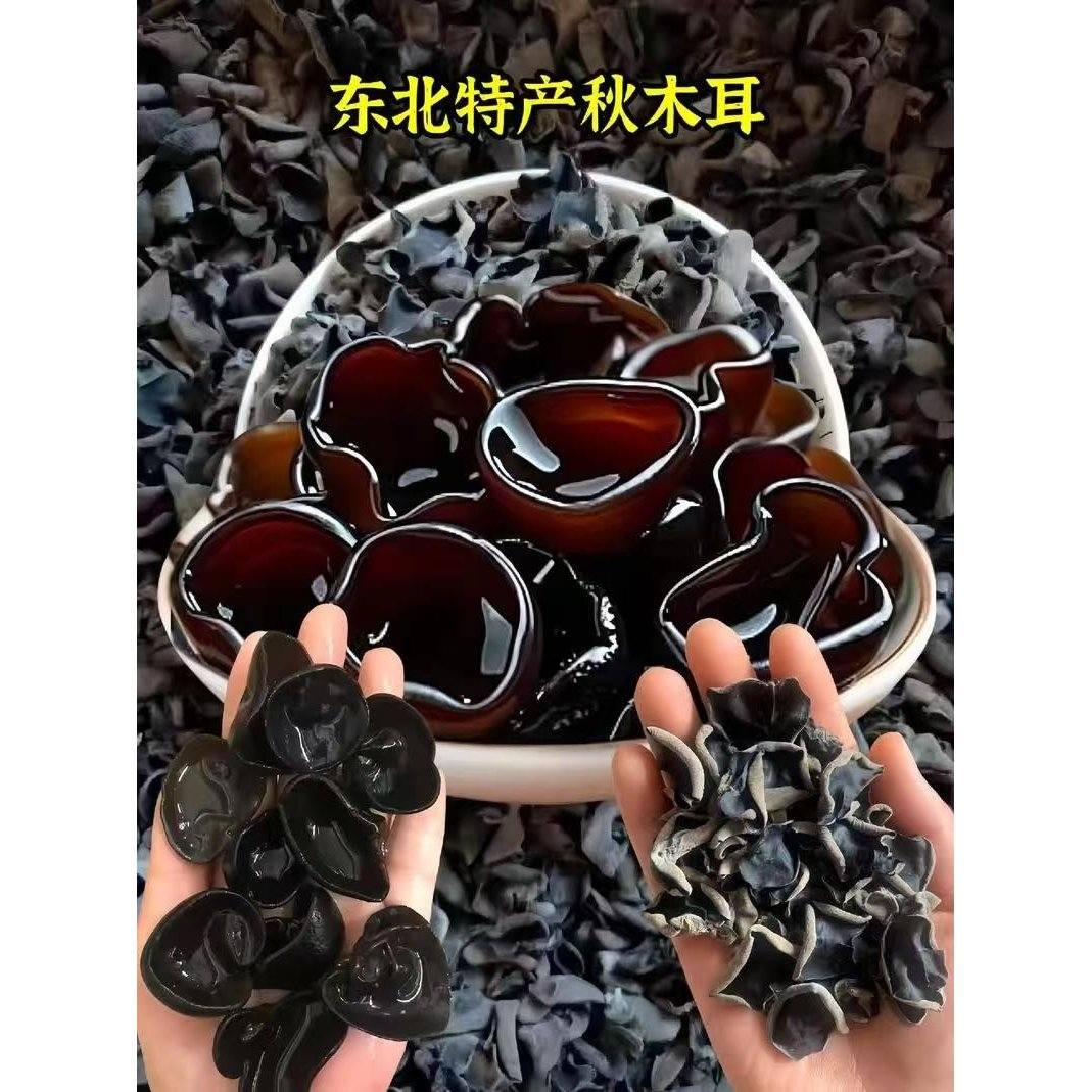 试吃100克东北秋木耳无根肉厚长白山椴木特产