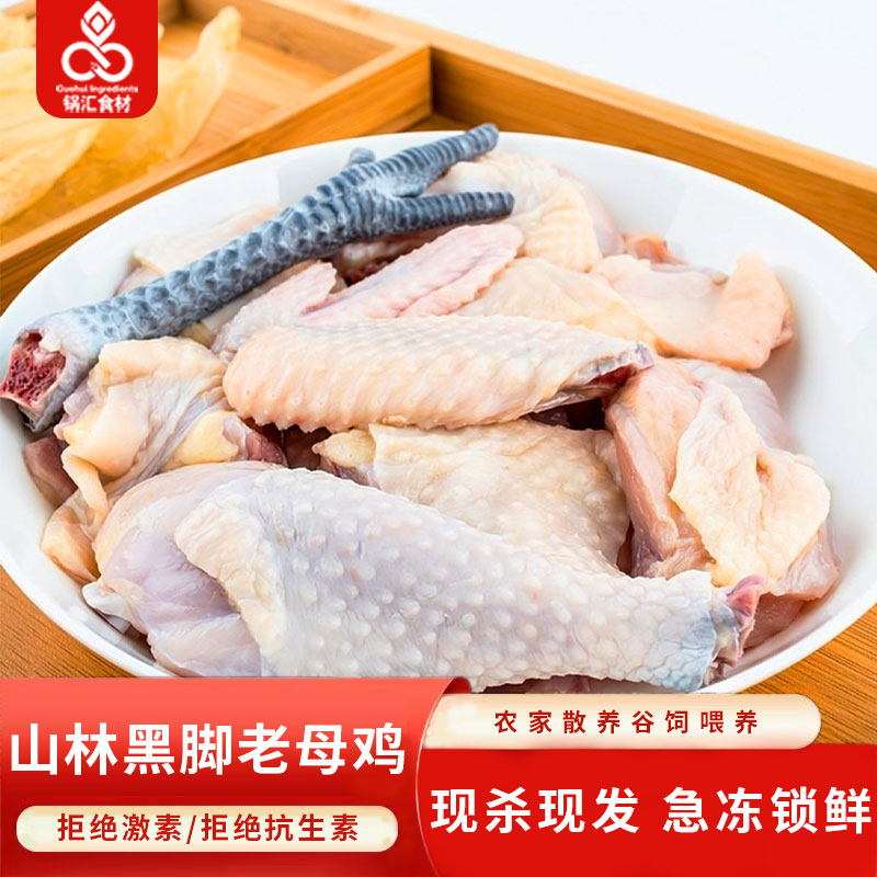 锅汇食材深山正宗黄油老母鸡土鸡