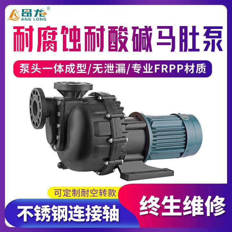 耐酸碱化工马肚泵2.2KW工业废水无泄漏大头泵卧式耐腐蚀自吸泵