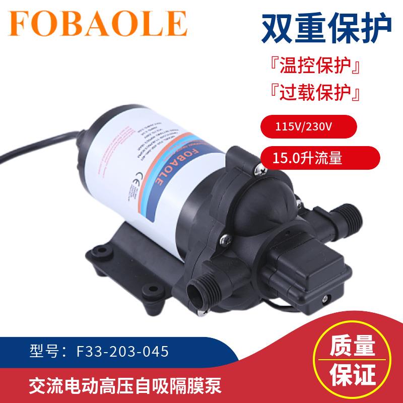 115V230V交流电动隔膜泵压路机清洗泵15升流量自吸洗车喷雾抽水泵