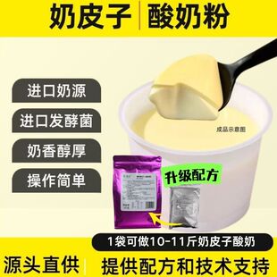 商用奶皮子酸奶粉奶皮子基底粉含进口发酵菌操作简单无添加奶味纯