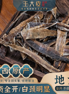 王大皮地龙 道地高品质经方经典优质正宗原产地直邮新鲜