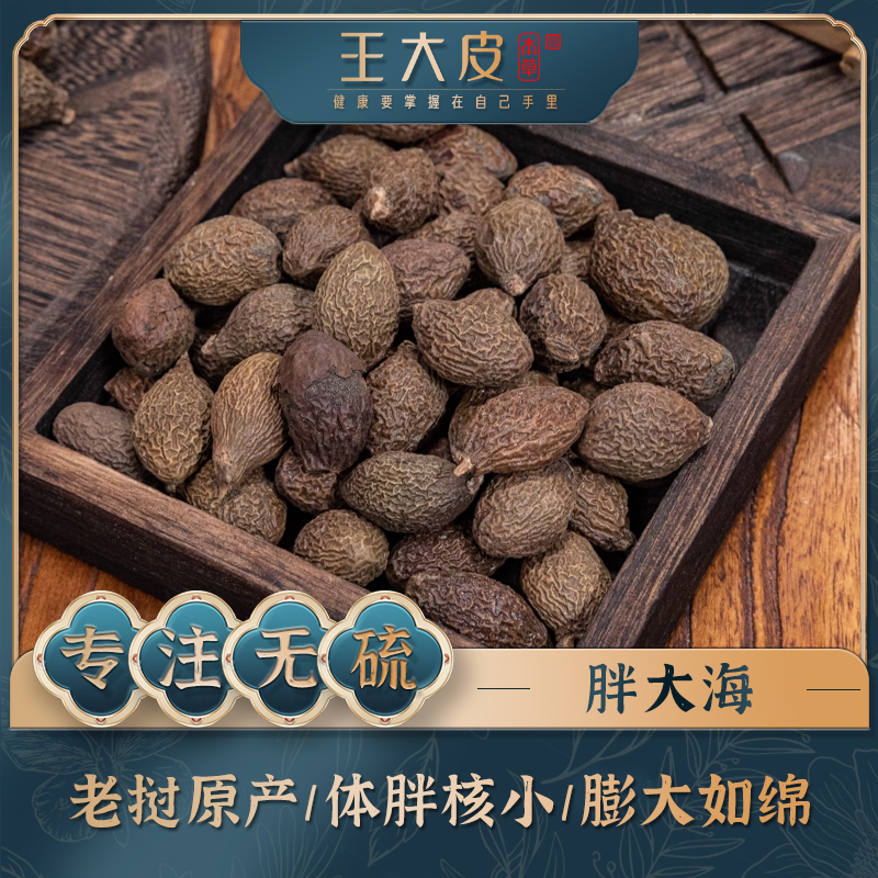 胖大海  老挝高品质经方经典优质正宗原产地直邮新鲜新货泡发率95