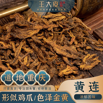 王大皮黄连丝鸡爪连道地高品质经方经典优质正宗滋补原产地直邮