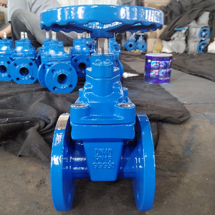 德标法兰软密封大体闸阀建筑工业用弹性座封阀开关截止排水阀门