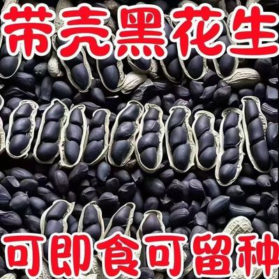 买一送一】云南正宗富硒生黑花生带壳生黑花生黑子花生养胃黑花生