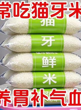 5斤超值】新米猫牙米长粒香米直发正宗长款细长米猫牙优质煲仔饭