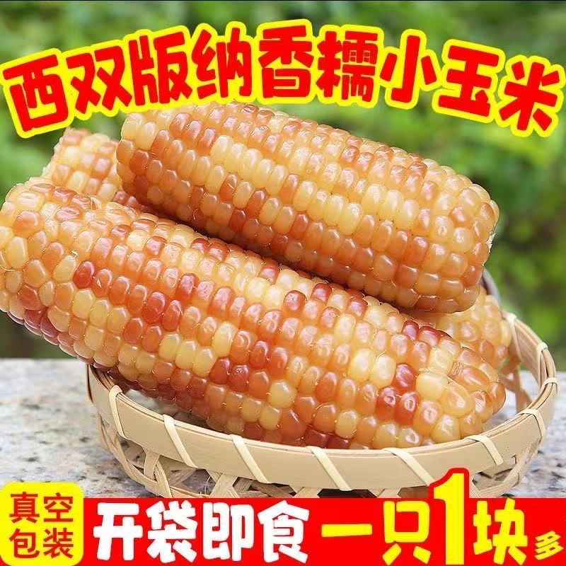 云南西双版纳小花糯玉米新鲜真空包装低脂小玉米香甜玉米即食代餐