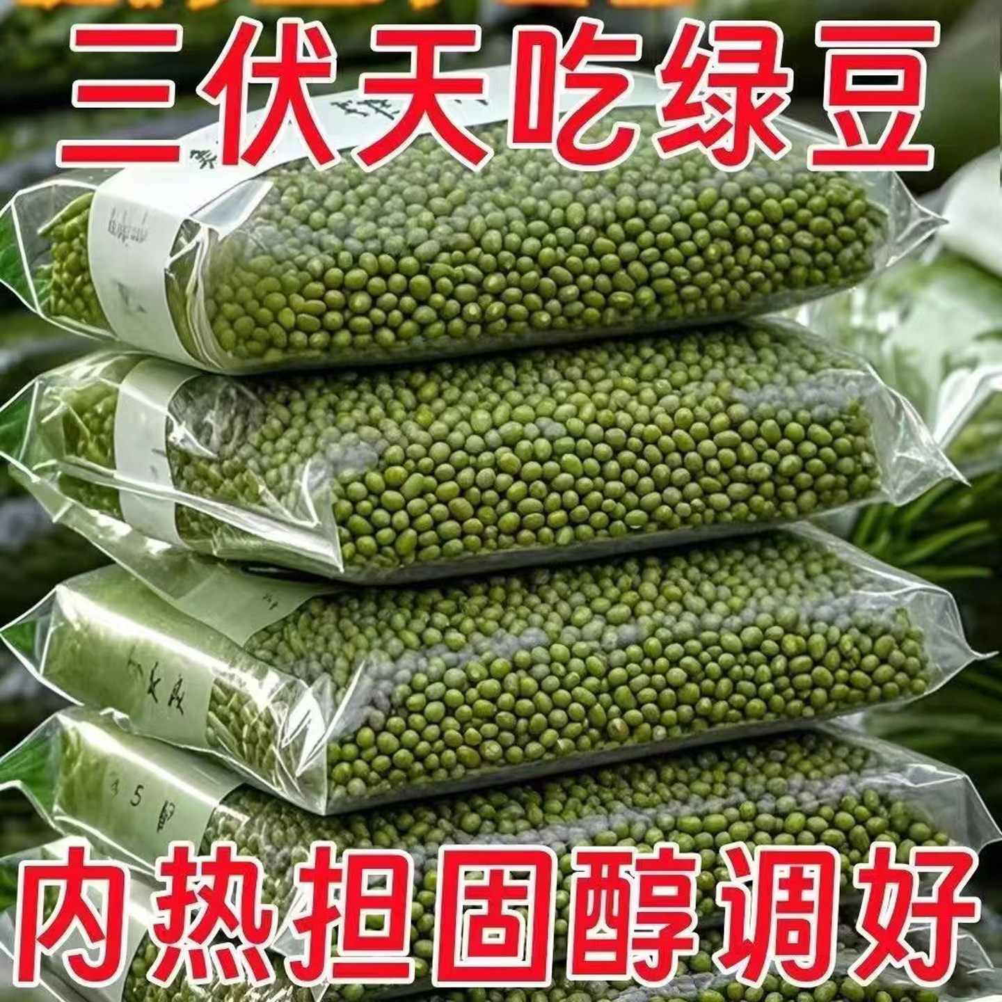 东北农家新鲜绿豆农家新绿豆易烂出沙煮粥解暑绿豆汤绿豆沙发豆芽