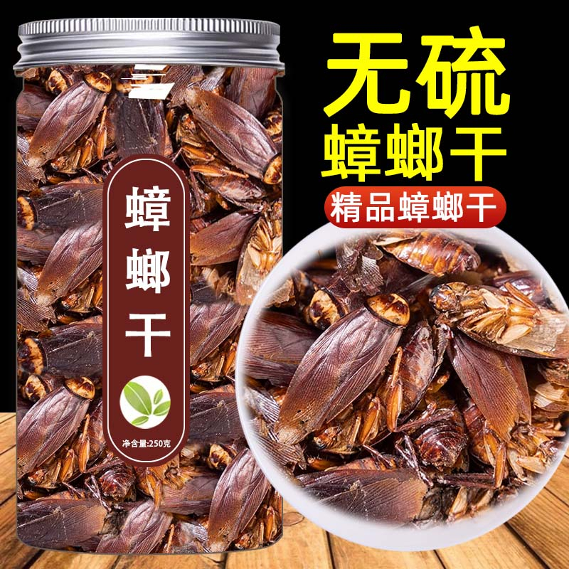 蟑螂中药材蟑螂干野生药用小强偷油婆蟑螂虫干正宗茶婆虫滑虫蟑螂