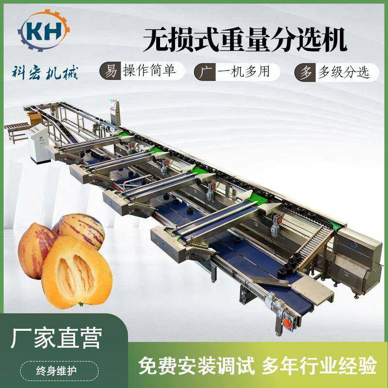 机械无损式重量分选机，人参果秋月梨雪梨智能分选重量分拣,工业油品/胶粘/化学/实验室用品,其他实验室设备,淘宝优惠券,粉丝福利购,淘宝优惠卷