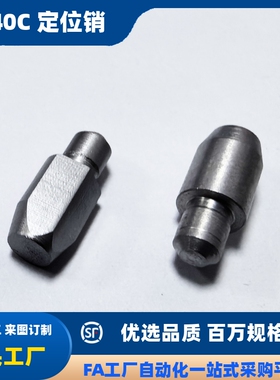 台阶销菱形销定位销YBP05-D2 D3 D4 D5 D6 D8 D10-P3P4P5P6P8 P10