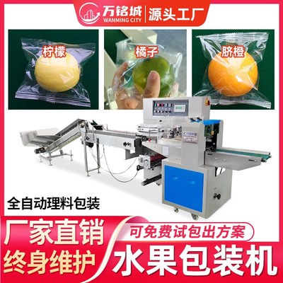 2024新款水果包装机全自动贴标密封套袋打包机橙子蔬菜枕式包装机