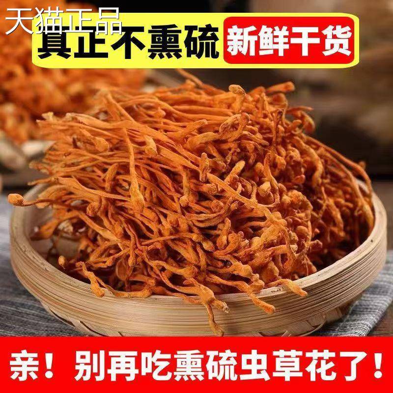 虫草花干货500g正品散装北虫草蛹虫草金虫草另售优选野生煲汤料