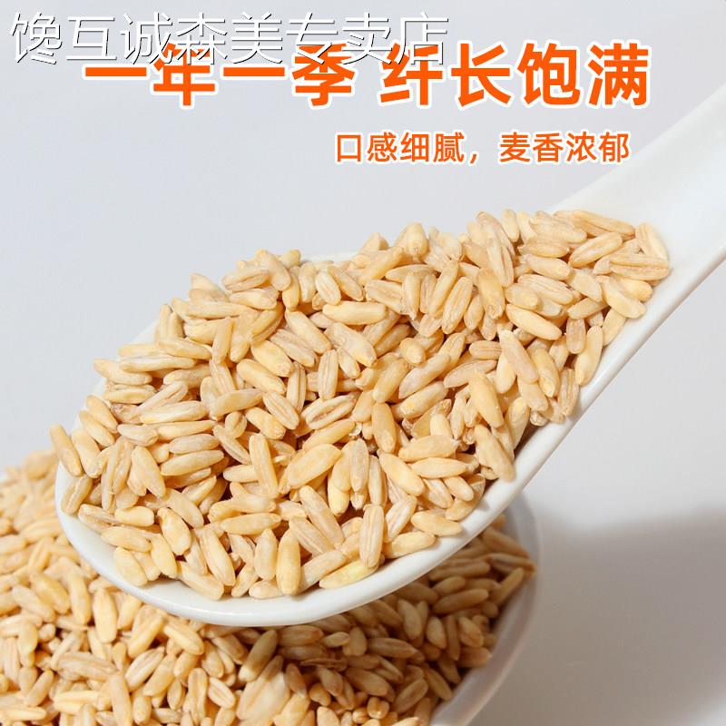 新米青海燕麦米全胚芽燕麦米米饭伴侣五谷杂粮粗粮农家裸燕麦粥饭
