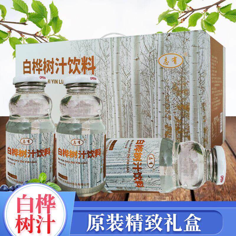 正宗东北小兴安岭白桦树汁
