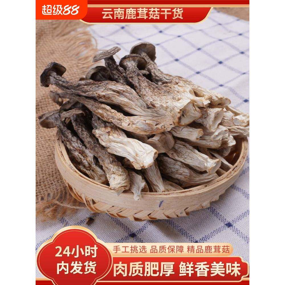 云南鹿茸菇干货鹿茸菇干货云南特产蘑菇优质菌菇菇食用菌新鲜炖汤