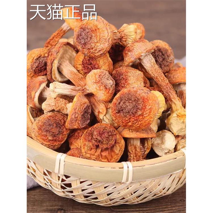 布氏蘑菇干货500g云南免烟硫食用野生蘑菇巴西蘑菇特色汤