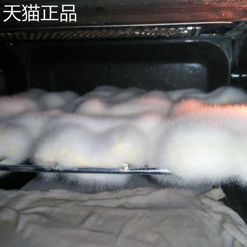 促销新品酵母豆腐豆腐乳曲乳酸菌腐乳霉曲乳曲家用做臭豆腐其儿