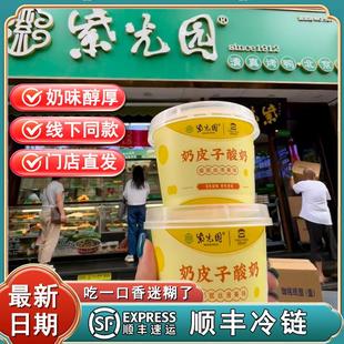 现货新鲜老北京紫光q园奶皮子酸奶 网红特产食品老式原味茉莉抹茶
