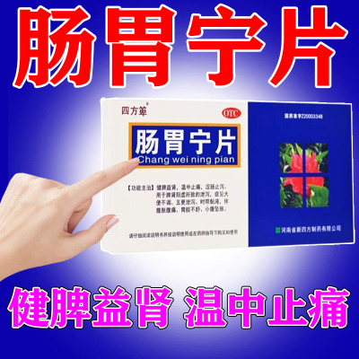 【四方箄】肠胃宁片300mg*36片/盒