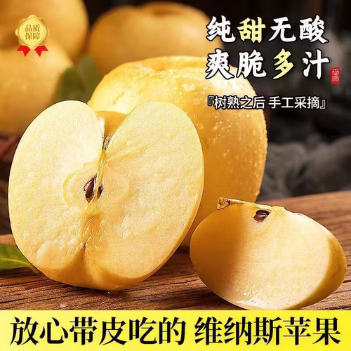 黄金维纳斯苹果新鲜纯甜无酸苹果香浓郁脆甜新鲜应季黄金苹果包邮