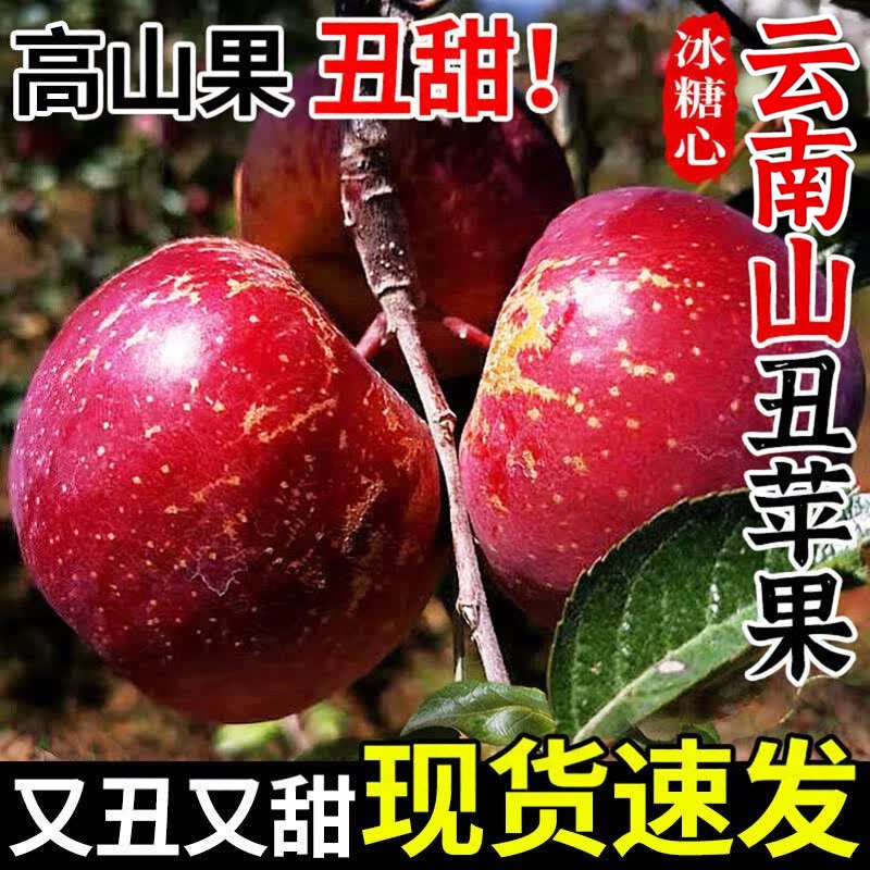 云南丑苹果新鲜冰糖心苹果当季四川丑苹果凉山高山脆甜昭通丑苹果图片
