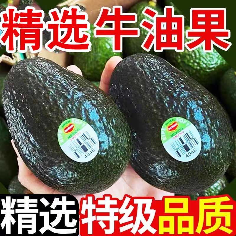 澳洲牛油果特大果秘鲁新鲜水果孕妇宝宝辅食整箱超大过当季鳄梨果,水产肉类/新鲜蔬果/熟食,牛油果,淘宝优惠券,粉丝福利购,淘宝优惠卷