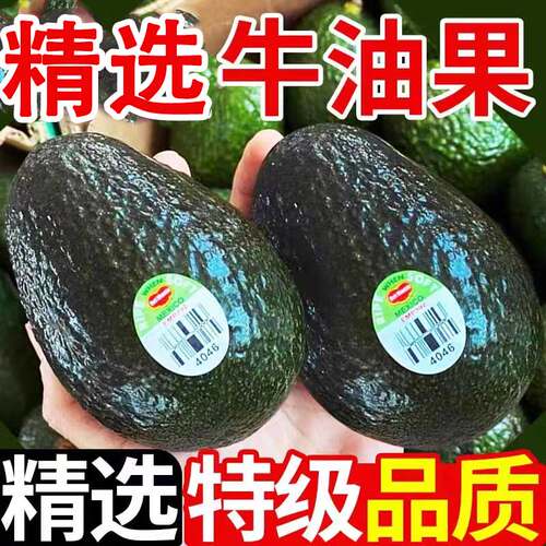 澳洲牛油果特大果秘鲁新鲜水果孕妇宝宝辅食整箱超大过当季鳄梨果