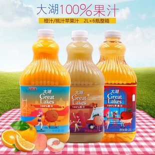 大湖果汁橙汁苹果汁桃汁浓缩汁大瓶装水果饮料商用整箱