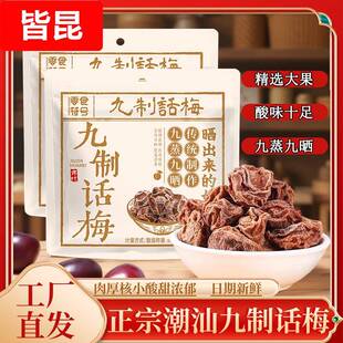 零食符号九制话梅广东潮汕广式 话梅干果脯蜜饯泡水